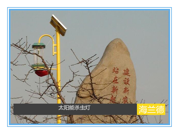 太陽(yáng)能殺蟲(chóng)燈工程